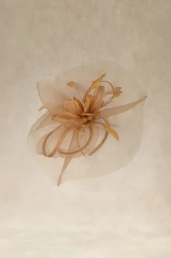 BABEYOND Fascinators<Dreamy Wavy Brim Mesh Fascinator