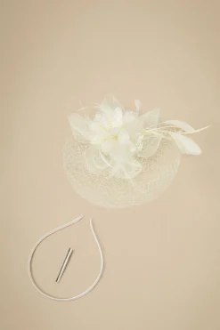 BABEYOND Fascinators<Vintage Feathers Floral Veil Fascinator