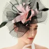 BABEYOND Fascinators | Vintage<Vintage Veil Feather Fascinator