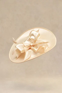 BABEYOND Fascinators<Wide Brim Floral Race Day Fascinator